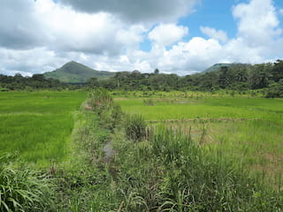 Foya district Liberia