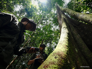 West Kalimantan landscape approach forest monitoring