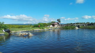 Shrimp farming Indonesia