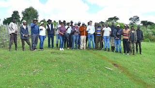 30km fence to protect South Western Mau Forest in Kenya