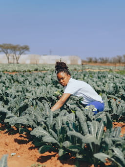 Stability starts with food