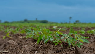 Feeling confused about how to increase climate resilience in the food system? Five truths that can guide us towards effective action