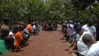 Building Blocks for EUDR Compliance: Lessons from the Cocoa Sector