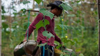 Advancing responsible business practices in agriculture