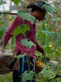 Advancing responsible business practices in agriculture