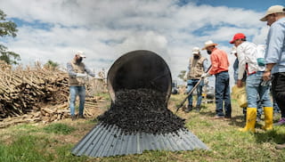 Terms of Reference: Enhancing integrity and leveraging relevance of Coffee Biochar Programme