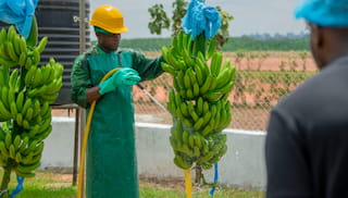 Investing in supply chain resilience