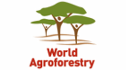 World agroforestry