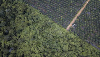 Terms of Reference: End-term evaluation of the “Increasing Sustainable Land Management in Key Forest Landscapes” programme