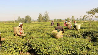 Overcoming investor risk perception in smallholder finance