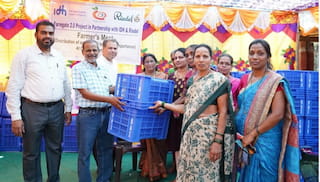 Project Farm Gate 2.0: Sustainable farming practices and training help improve returns and yields for mango farmers in India