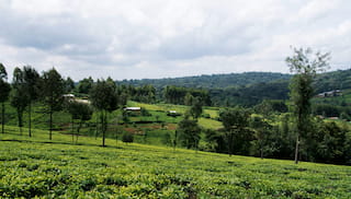 IDH to convene global leaders at SUTRA 2024: shaping the future of sustainable trade