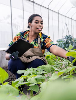 Smart data tools paving the way to close living income gaps