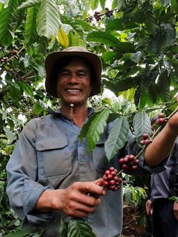 Case Study: Vietnam