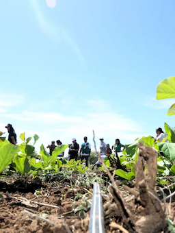 Case Study: Kenya