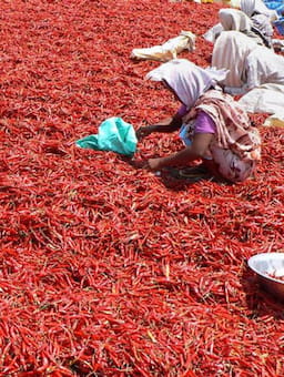 How can we support buyers in addressing living wages in their supply chains?