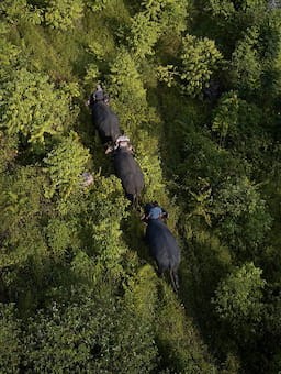 Case Study: Sabah, Malaysia