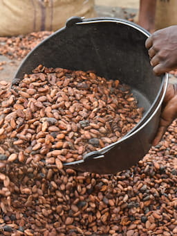 Case Study: Grand Mbam, Cameroon