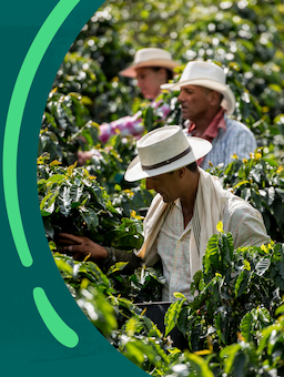 IDH 2022 Annual Report:Transforming Markets through Collaboration