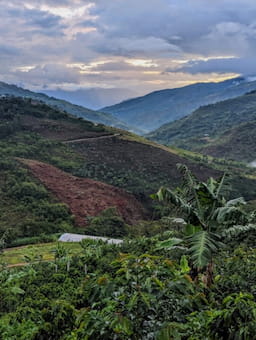 What we’re learning from blended finance in sustainable land use