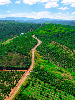 The answer to rising agri-food supply risks? Get horizontal with your peers