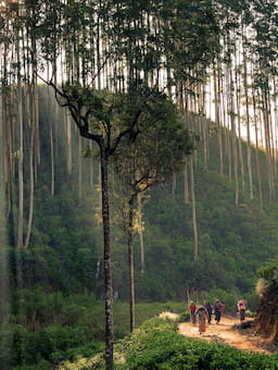 Aligning for impact: Collaborative climate solutions for agri-food regions