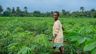 Consultants needed for WISE program feedback system