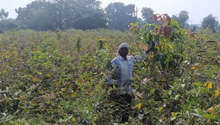 Terms of Reference: Technology Platform Onboarding for Cotton Traceability, MRV, and Sustainability Dashboard