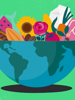 Plan van aanpak: Agrohandel Zeker, Veerkrachtig en Duurzaam