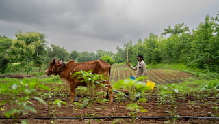 ToR: Empowering the FPO Ecosystem as Catalysts for Market Integration of Regenerative Agricultural Produce in Madhya Pradesh