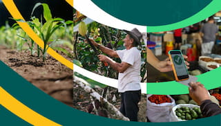 Cultivating capital for smallholder finance: Reflections from six years of the IDH Farmfit Fund