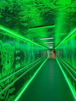 The underlying driver of COP30