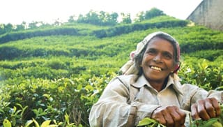 Women's Safety Accelerator Fund - Annual Report 2024