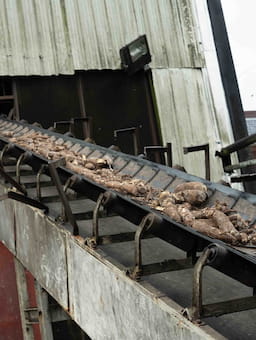 Unlocking Nigeria’s food system potential