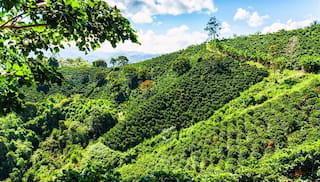 New evaluation results from the Colombia Living Income Program