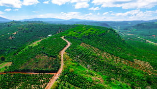 Decade of convening landscape initiatives: Accelerating deforestation-free coffee production
