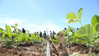 Climate extremes are reshaping food systems