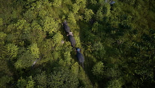 Accelerating EUDR readiness