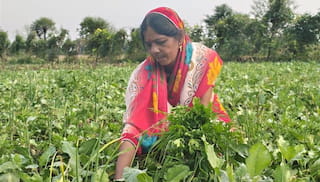 ToR: Development of RPLC Playbook