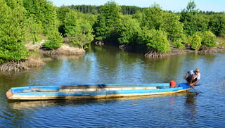 Dutch Ministers and Companies on a Trade Mission to Vietnam