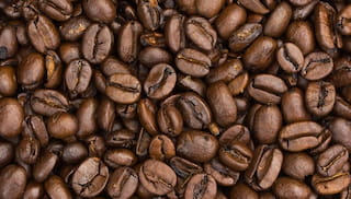 Building stronger incomes and more resilient coffee farmers