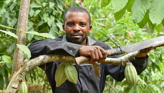 DISCO Annual Report 2024