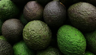 IDH facilitates Rwanda's first avocado export by sea freight