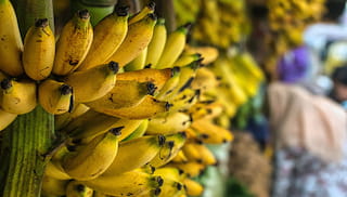 European retailers unite to streamline living wage contributions in banana supply chains