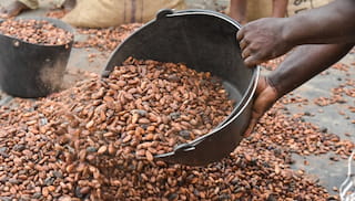 IDH Farmfit Fund and Oikocredit provide a EUR 3 million syndicated loan to Conacado to strengthen market access for cocoa smallholder farmers in the Dominican Republic