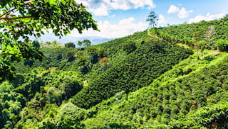 reVive: An Investment Development Hub in Colombia