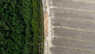 Why Brazil's scale doesn't equal resilience