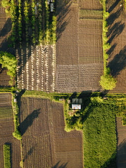 Actieplan voor continuïteit en verduurzaming internationale ketens van voedsel en landbouwproducten