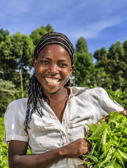 Transforming Agriculture: IDH Farmfit reaches over 250,000 farmers in Africa