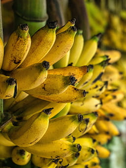 European retailers unite to streamline living wage contributions in banana supply chains